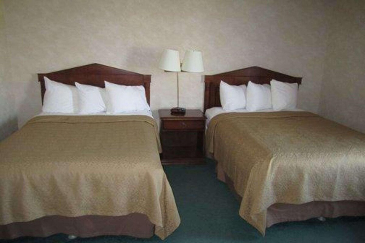 Dos camas individuales con cabeceros de madera, una mesita de noche con lámpara y una alfombra verde.