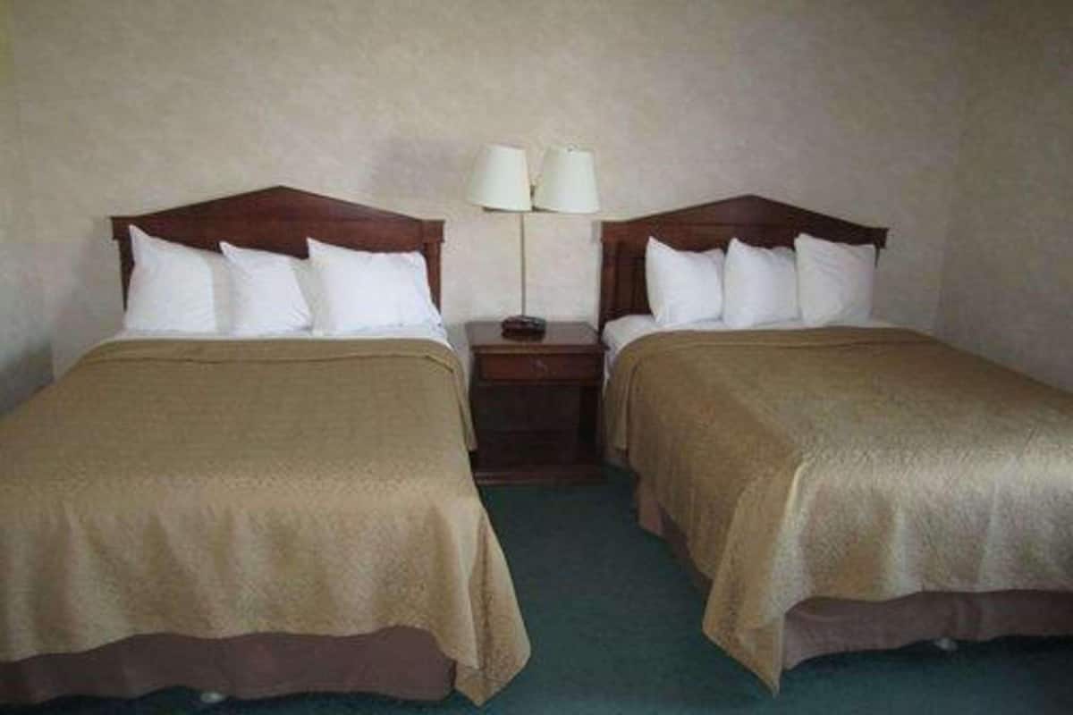 Two twin beds with wooden headboards, a nightstand with a lamp, and a green carpet.