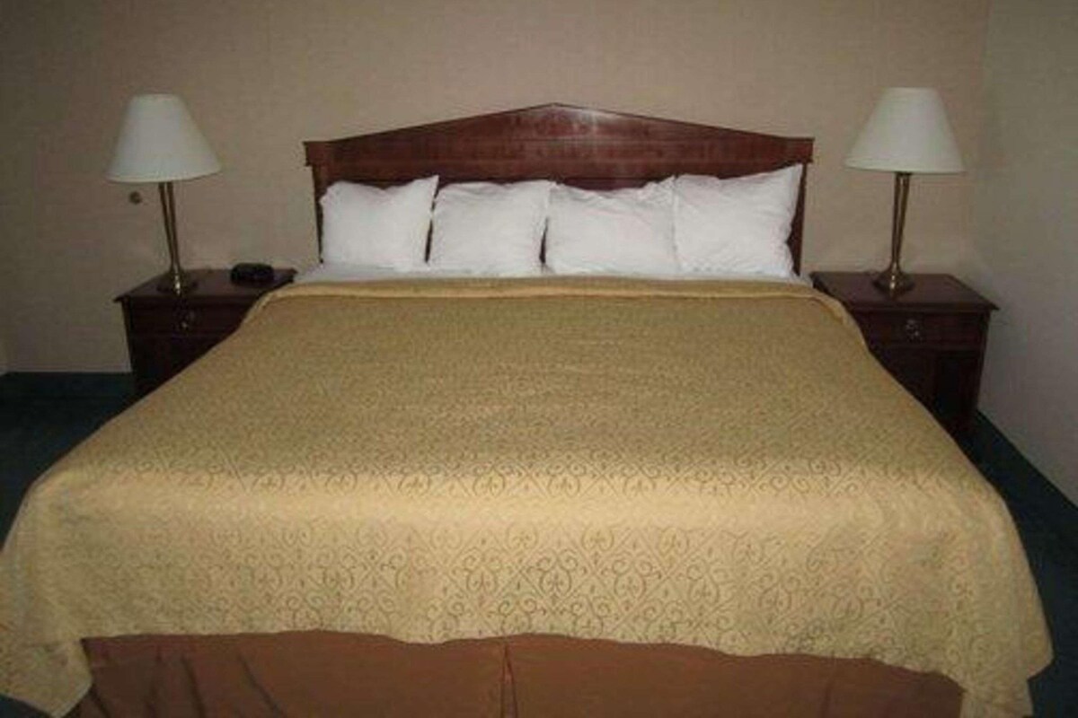 Una habitación de hotel estándar con una cama individual, dos mesitas de noche con lámparas y una pared lisa.