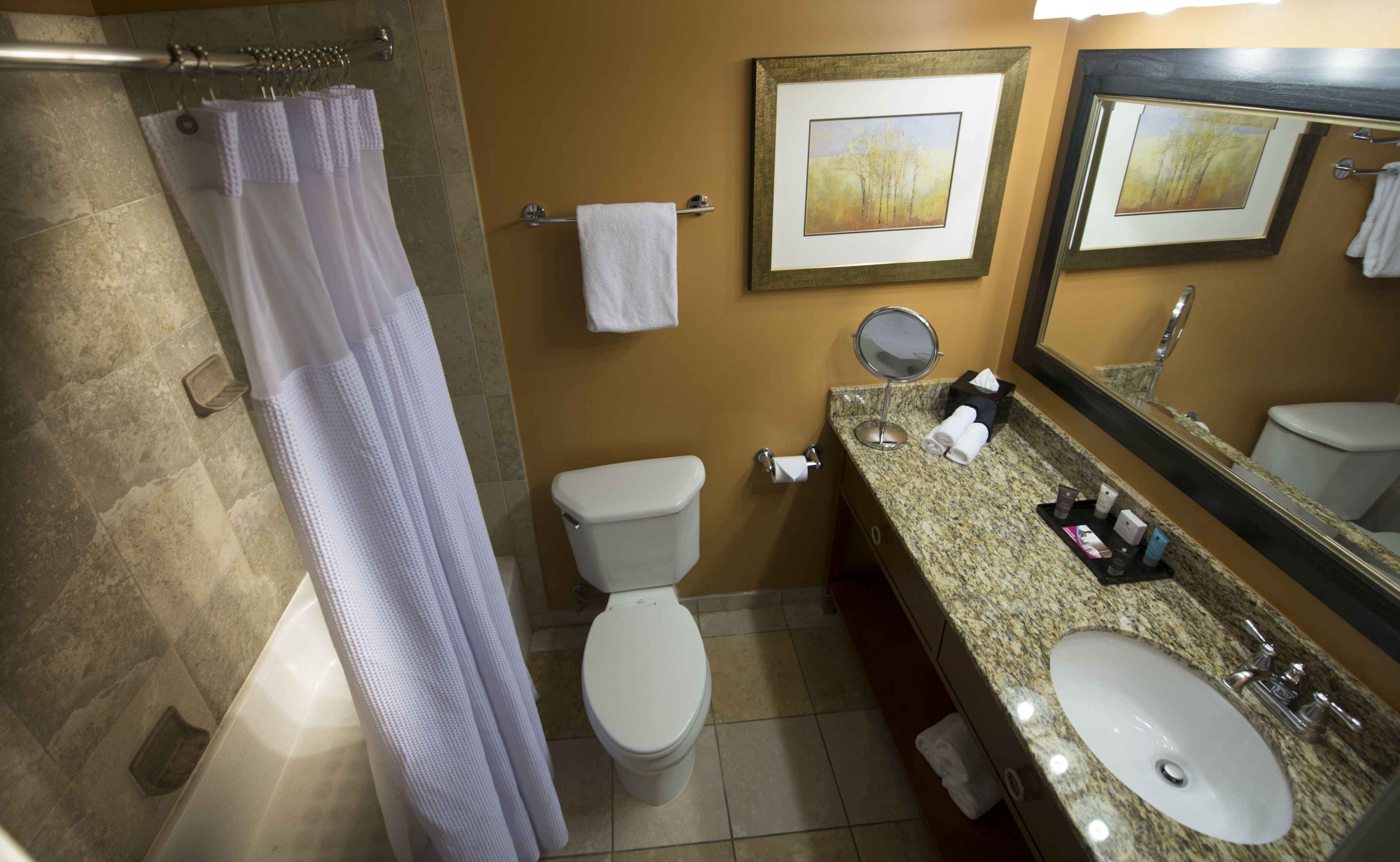 Un baño con ducha, inodoro, lavabo y un espejo grande.