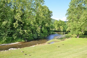 A river flowing through a lush green landscape with trees and a grassy area.