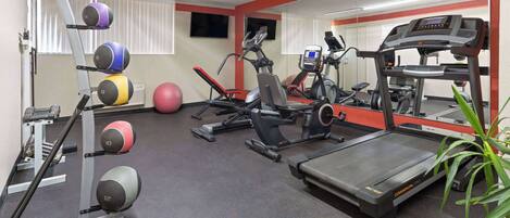 A gym with a treadmill, stationary bikes, a rowing machine, and a set of exercise balls.