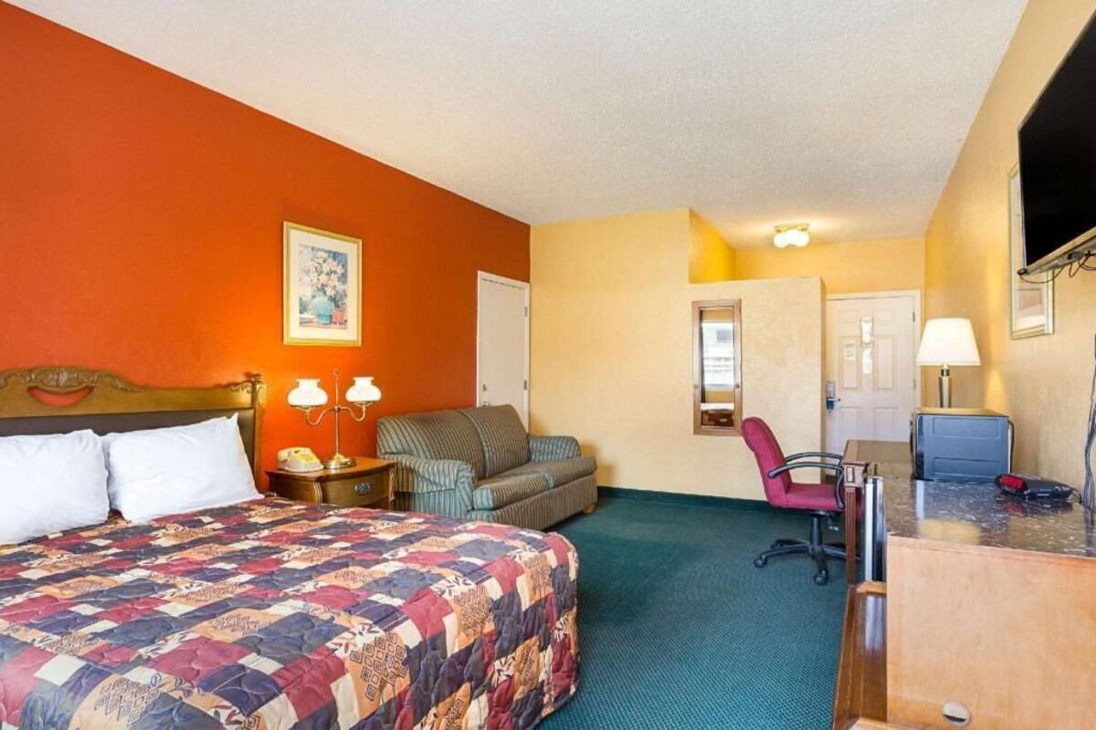 A hotel room with a bed, a desk, a chair, and a couch.