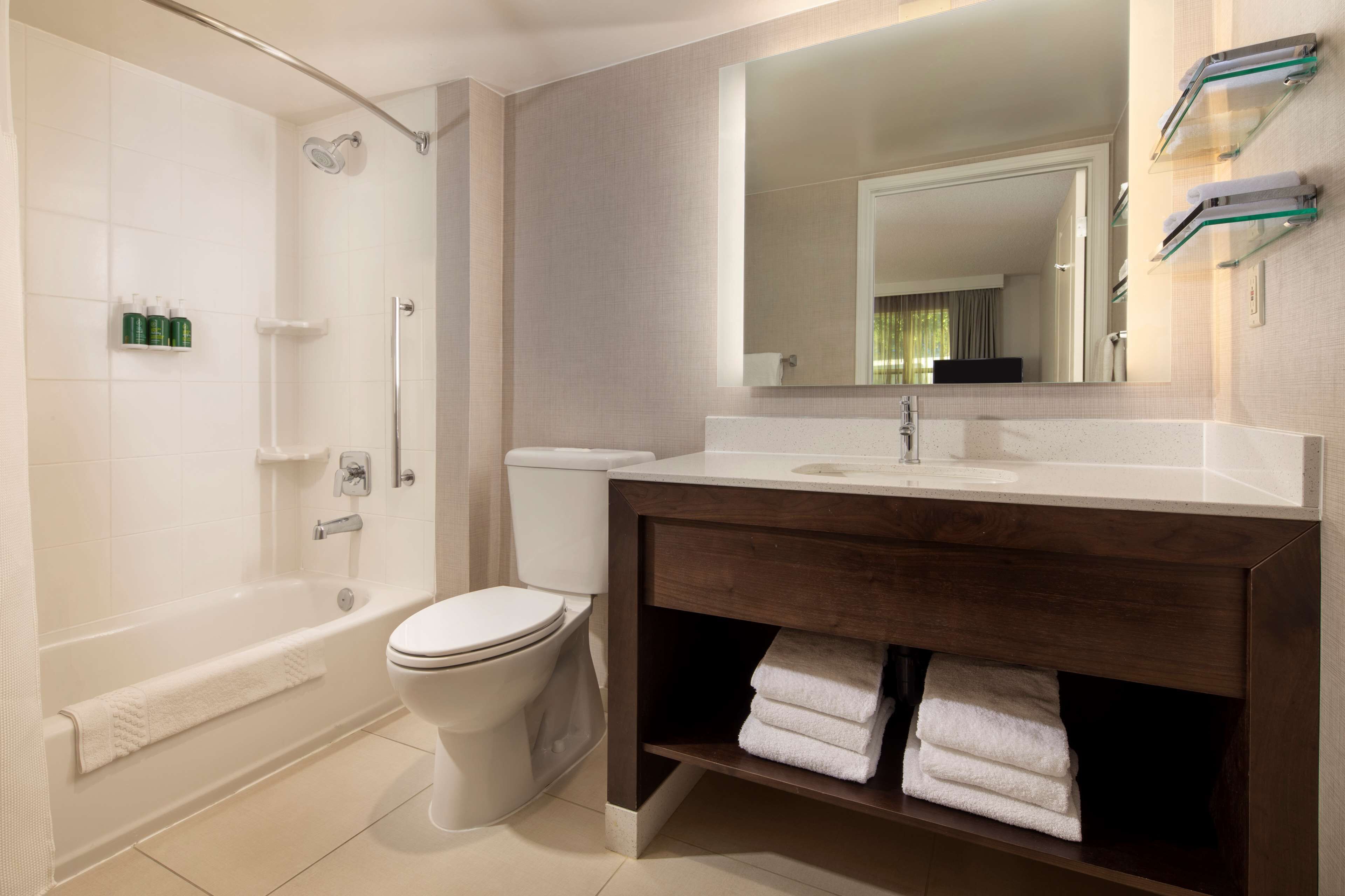 combined shower/bathtub, free toiletries, hair dryer, towels