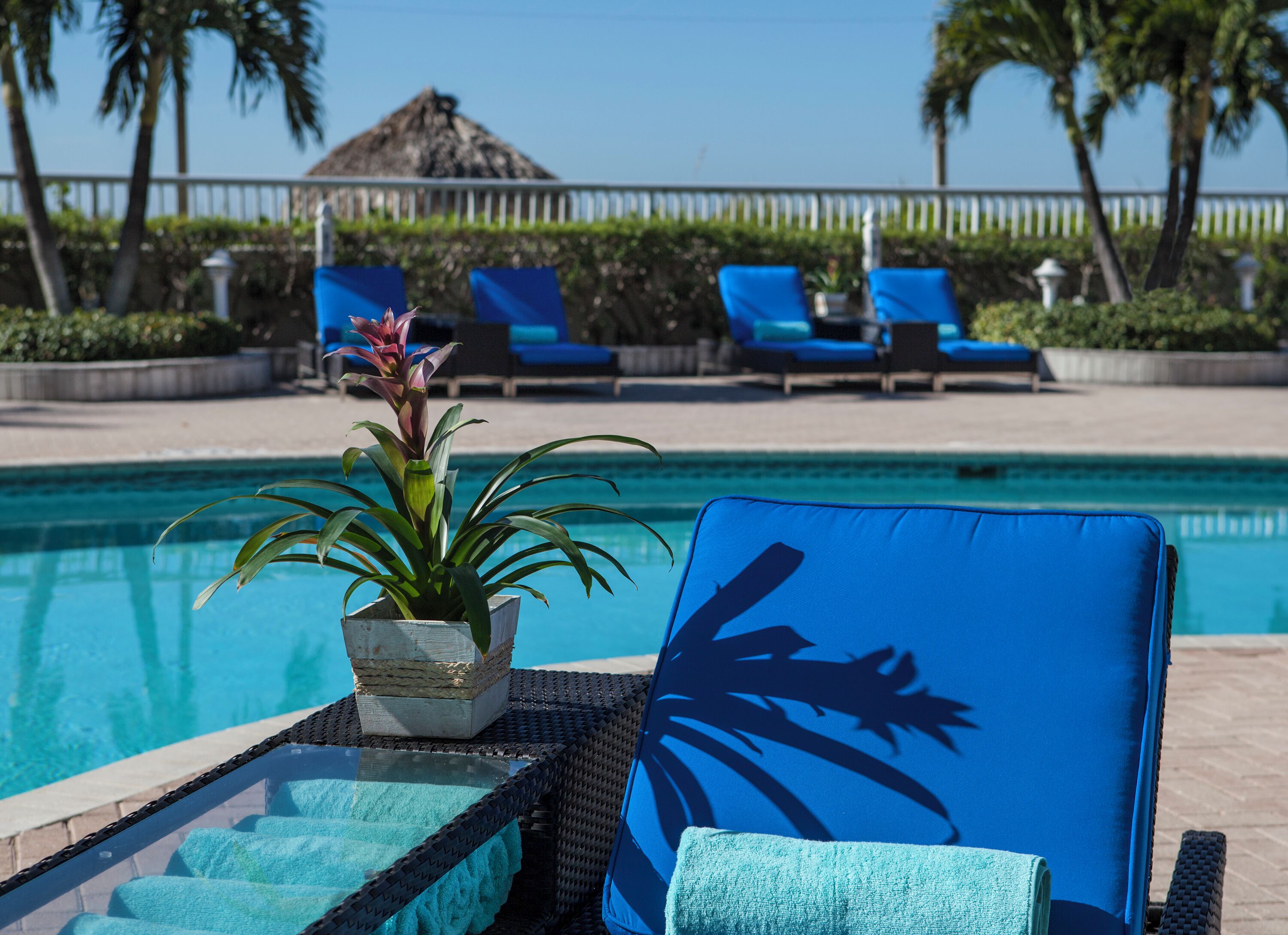 2 outdoor pools, pool loungers