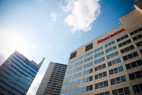 Sheraton Indianapolis City Centre Hotel - Image 33