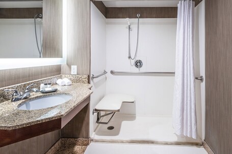 Sheraton Indianapolis City Centre Hotel - Image 31