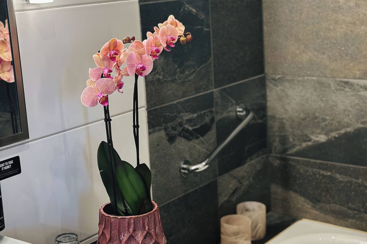 superior twin room, non smoking | bathroom | hair dryer, towels