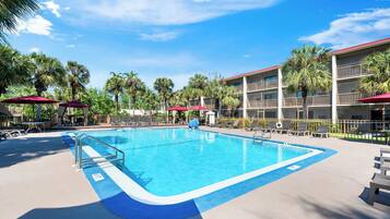 Outdoor pool, pool umbrellas, sun loungers