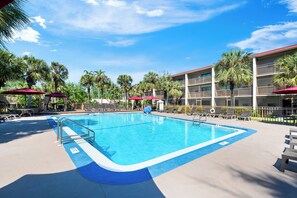 Outdoor pool, pool umbrellas, sun loungers