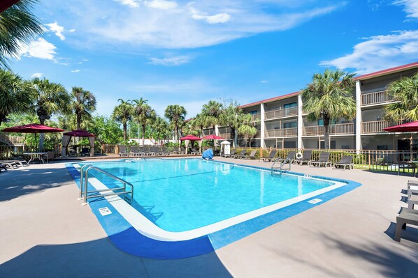 Outdoor pool, pool umbrellas, pool loungers