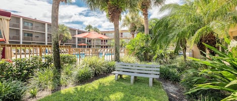 A pool area with a bench, surrounded by palm trees and greenery.