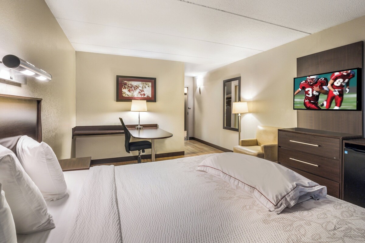 Camera d'albergo con un letto, una scrivania, una sedia, una TV e un armadio.
