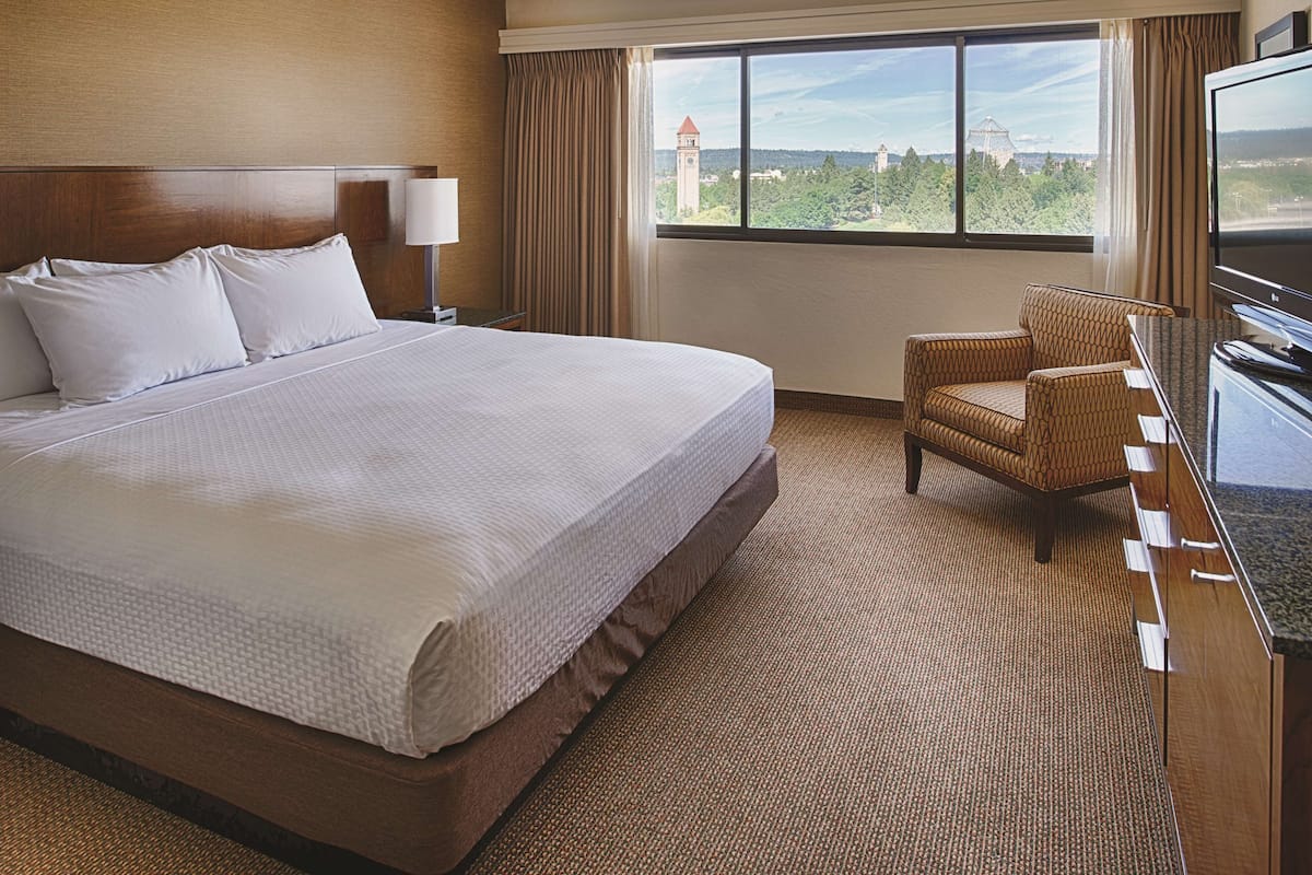 Room, 1 King Bed (Skyline View)