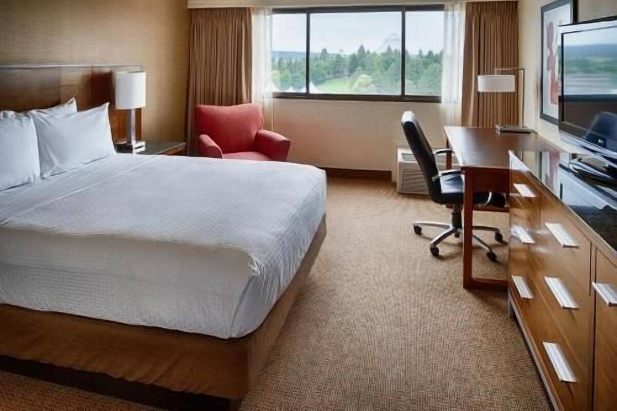 Quarto de hotel com uma cama grande, uma escrivaninha, uma cadeira, uma televisão e uma janela com vista.