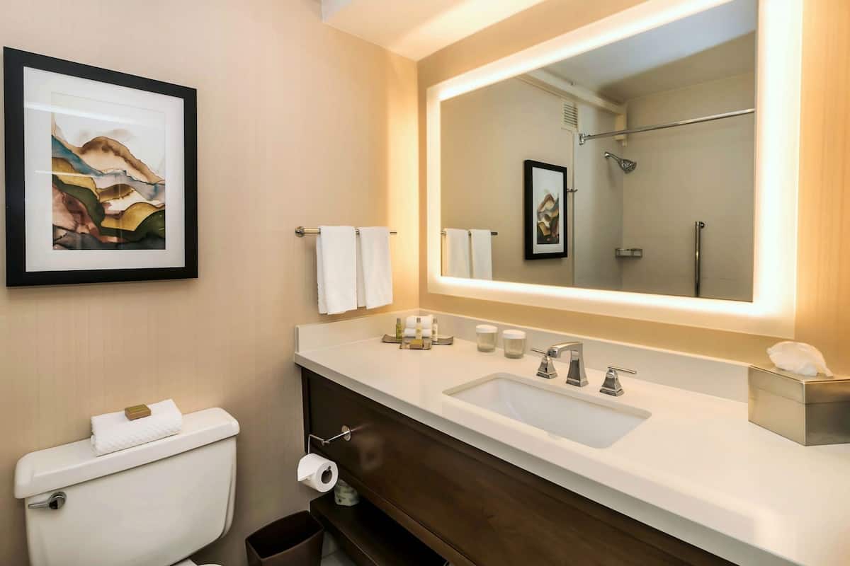 Bathroom | Free toiletries, hair dryer, towels
