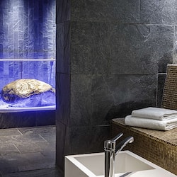 Couples treatment room(s), sauna, steam room, body treatments