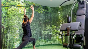 Une personne effectue une posture de yoga sur un tapis dans une pièce décorée d’une fresque représentant une forêt et contenant du matériel de gymnastique.