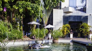 A turtle swimming in a clear water feature surrounded by potted plants and umbrellas, with modern buildings in the background. - Mercure Chiang Mai (Chiang Mai)