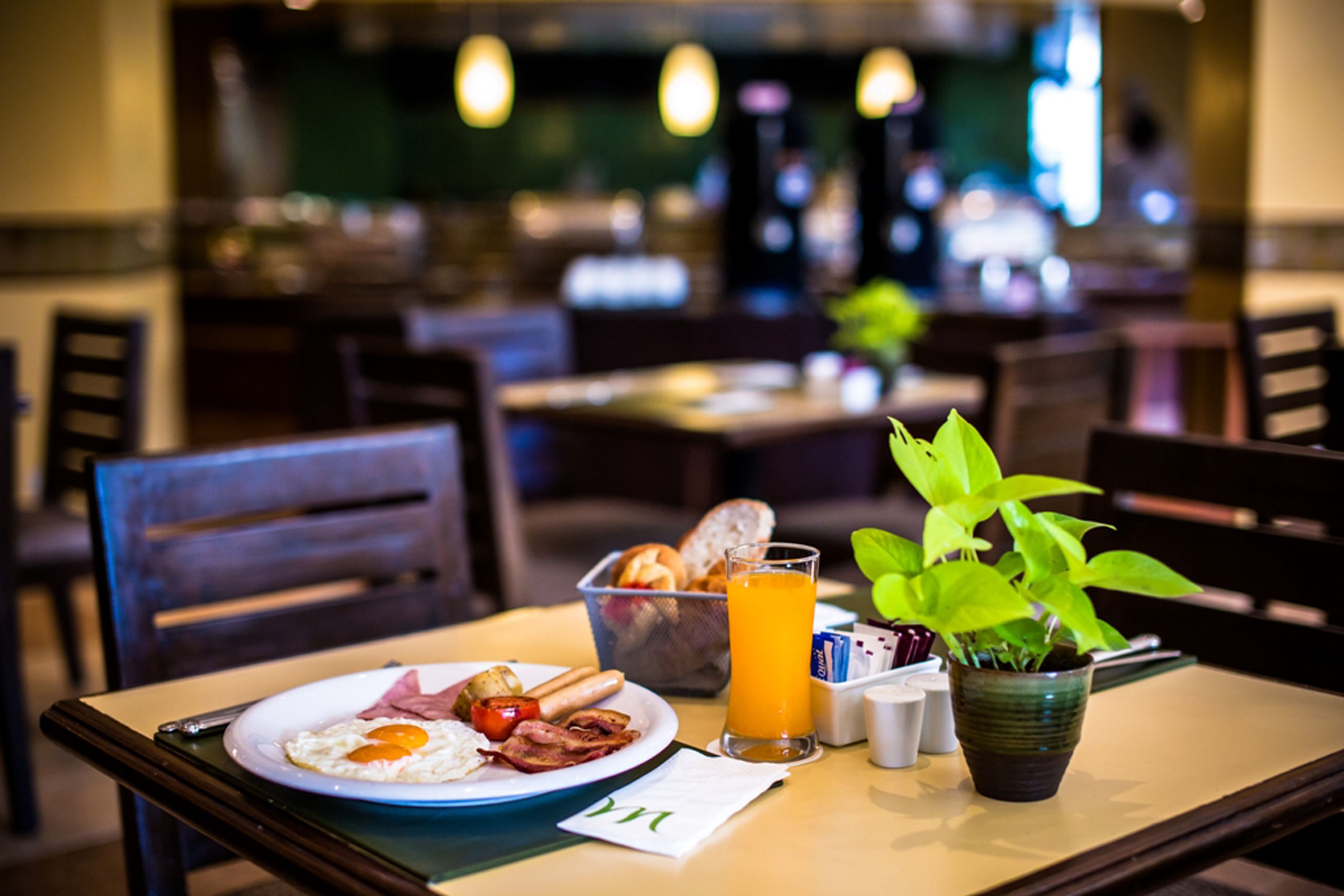 A breakfast setting with a plate of eggs, bacon, and tomatoes, a glass of orange juice, and a small plant on a table.