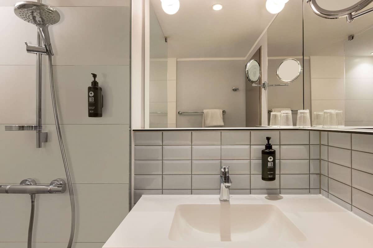 shower, free toiletries, hair dryer, towels