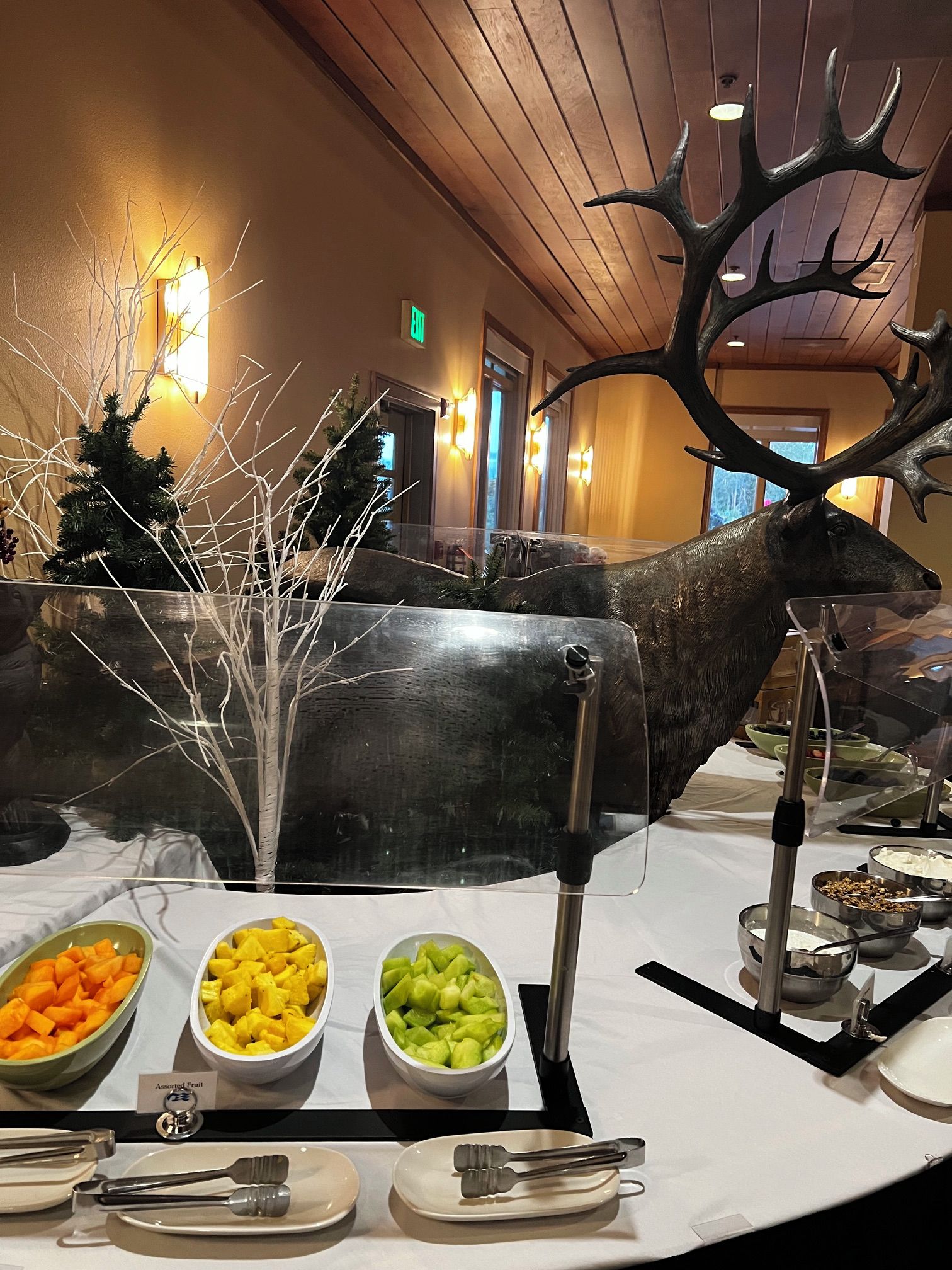 Een buffet met verschillende soorten fruit, een decoratie van een hertengewei en een glazen scheiding.