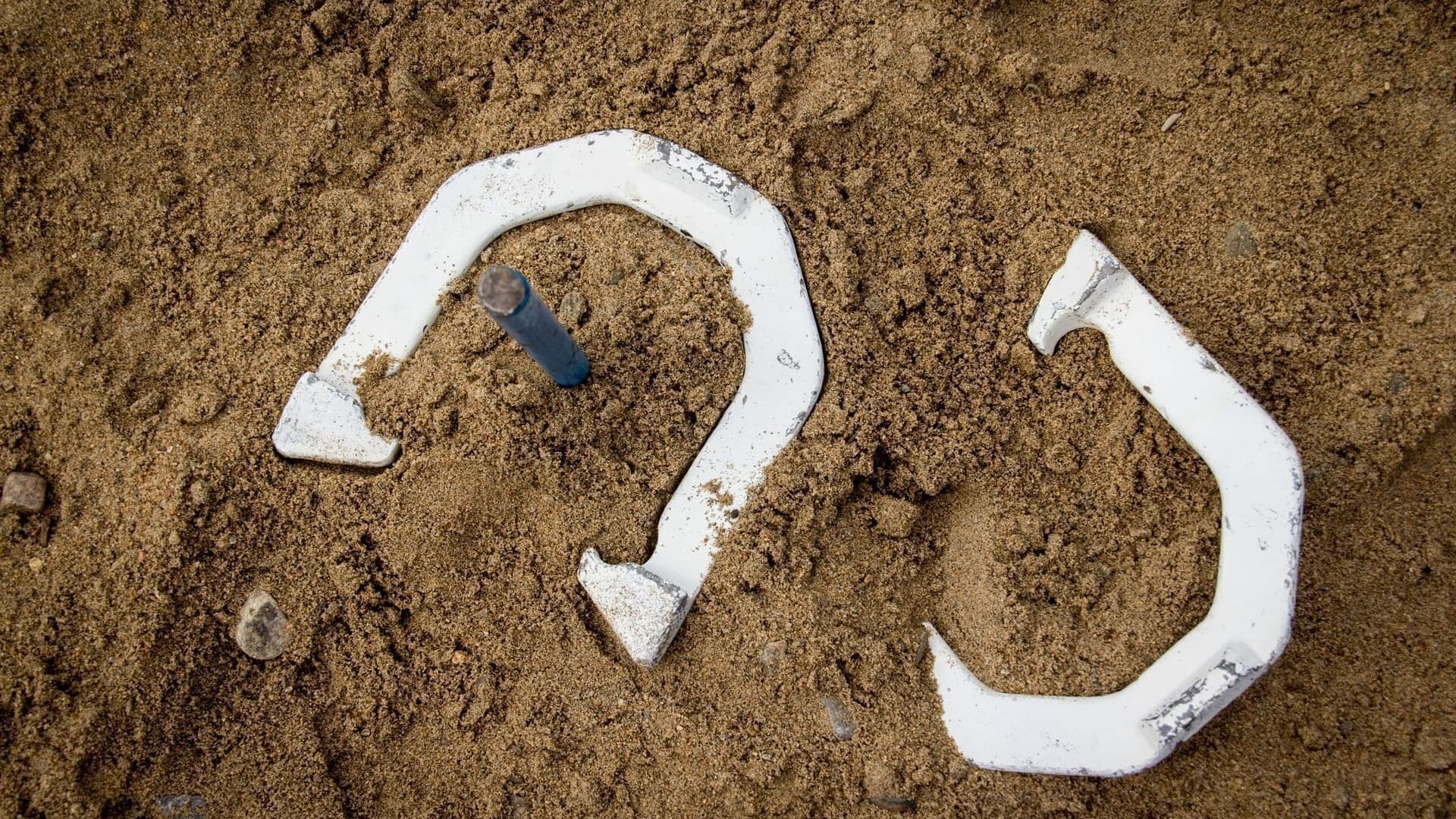 Two white horseshoe-shaped objects on sandy ground.