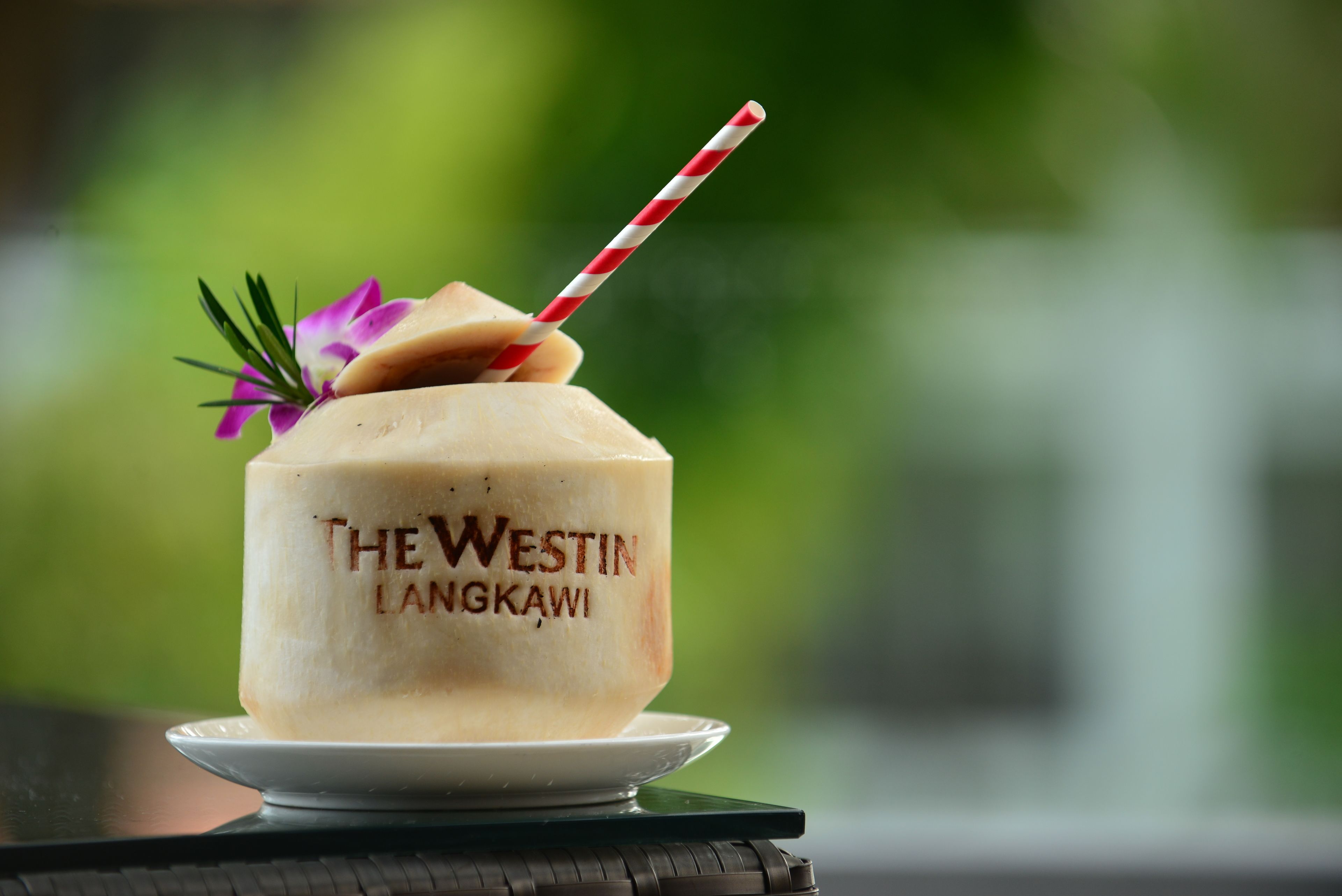 Een dessert op een wit bord met een rood-wit gestreept rietje, met de tekst 'The Westin Langkawi'.