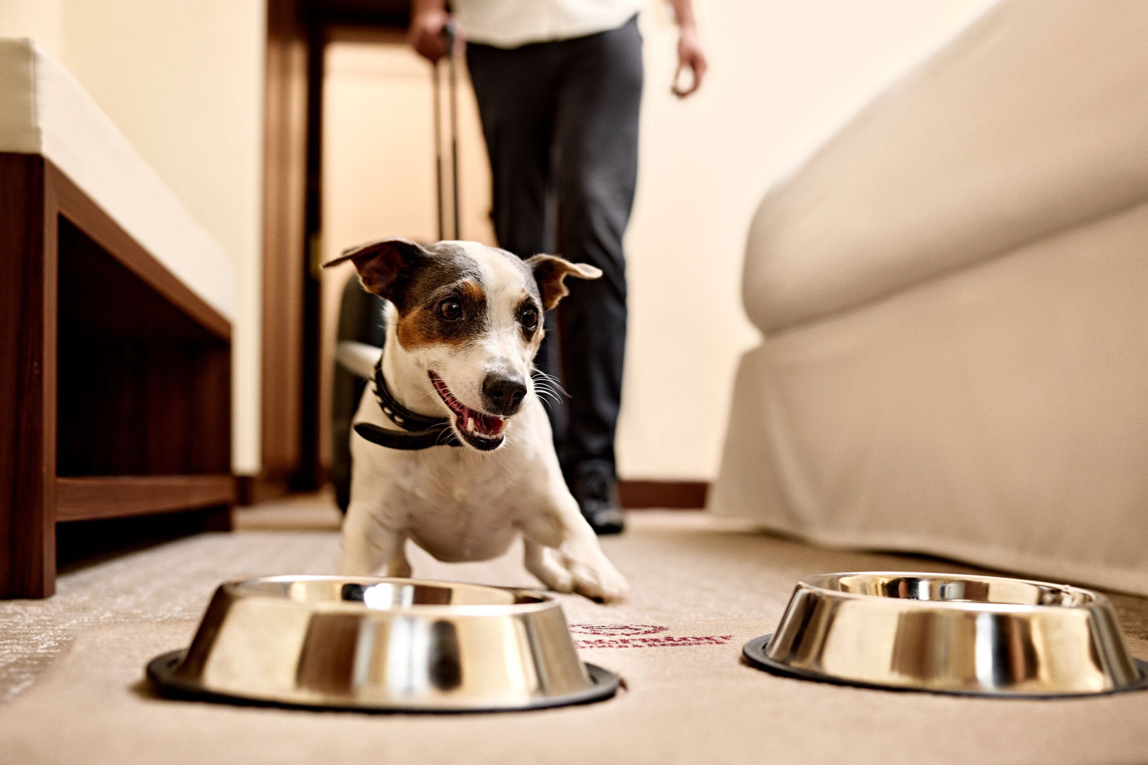 Foto - Sheraton Zagreb Hotel