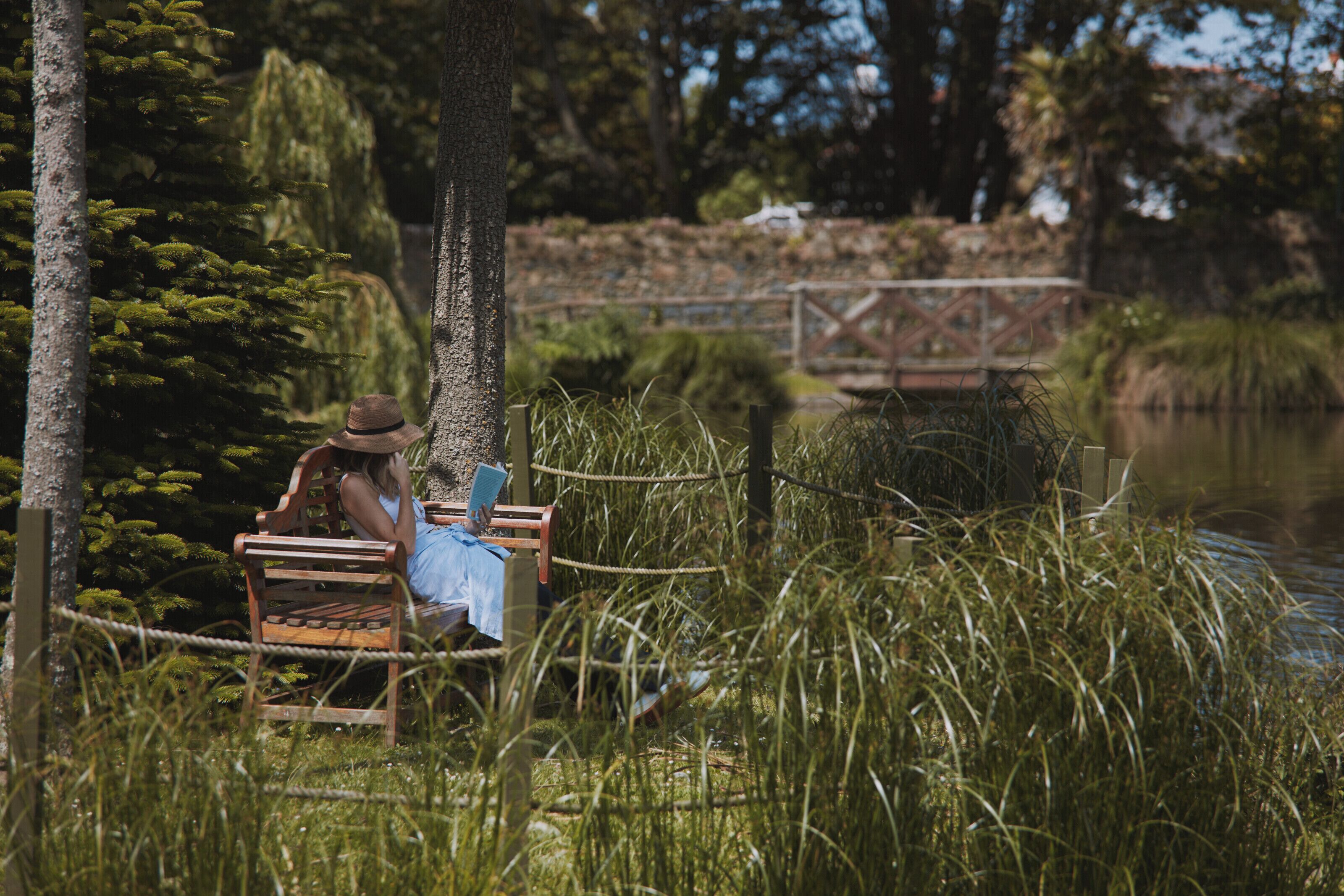 A wooden bench with a person sitting, surrounded by tall grass and trees, near a body of water with a bridge in the background.