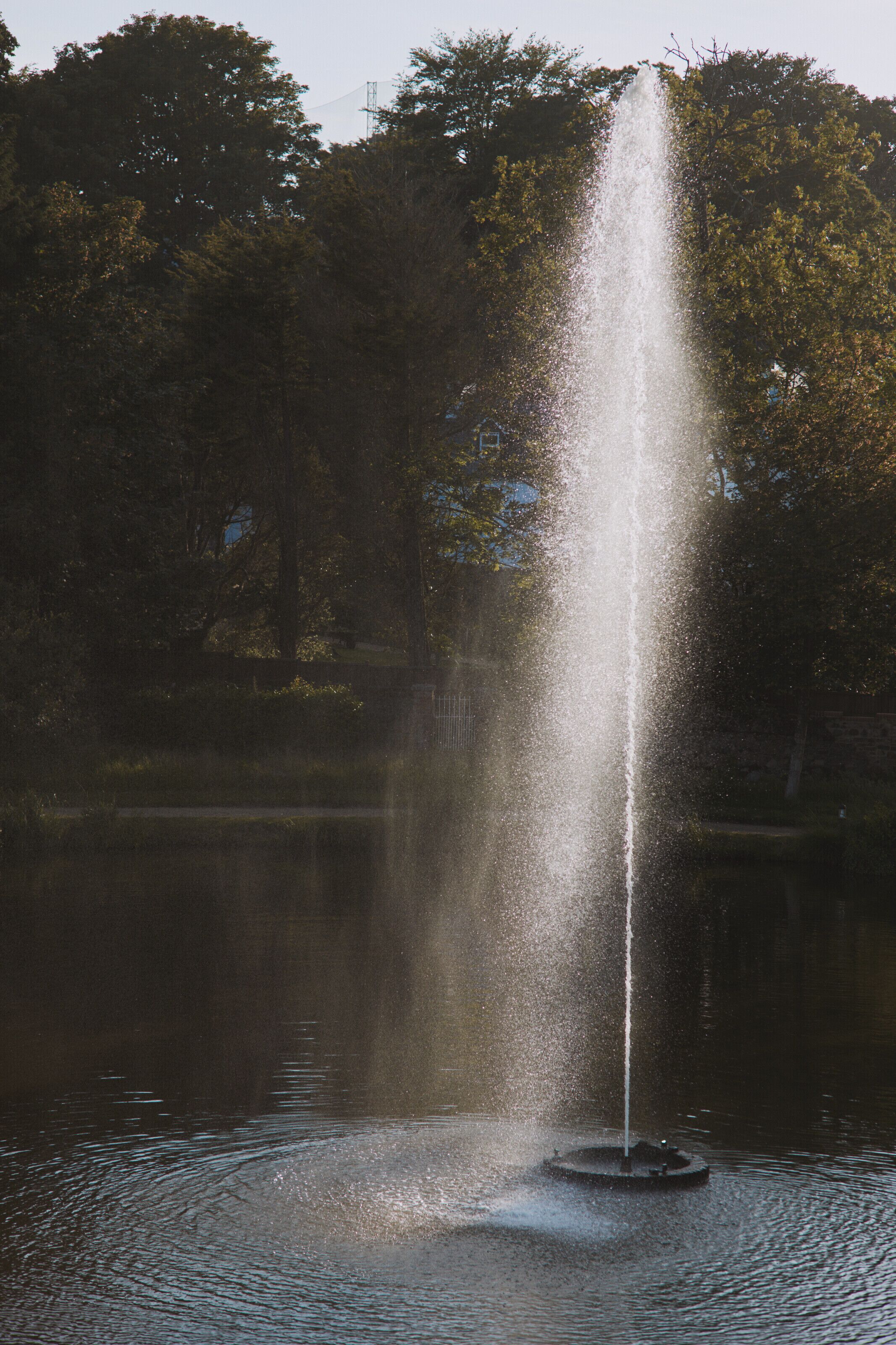 A fountain in a body of water with trees in the background.