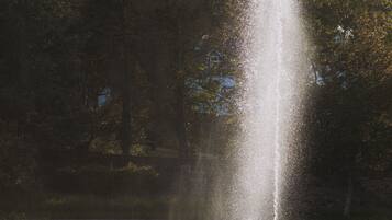 A fountain in a body of water with trees in the background.