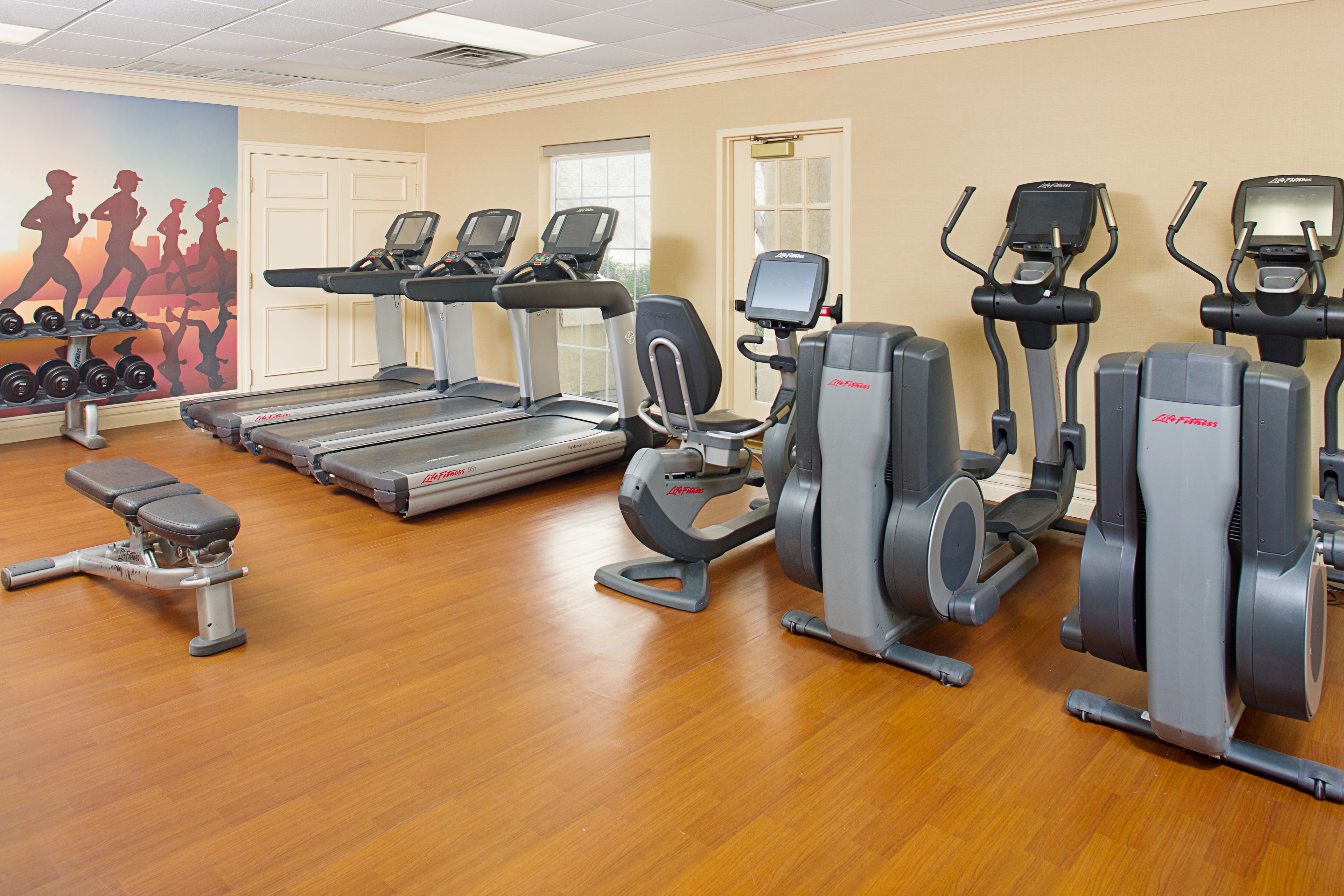 A gym with treadmills, elliptical machines, and dumbbells.