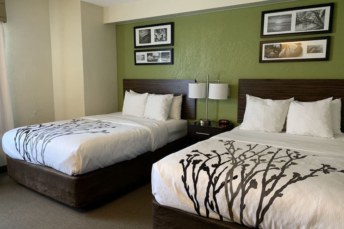 double room, 2 double beds, non smoking | desk, laptop workspace, iron/ironing board, free wifi