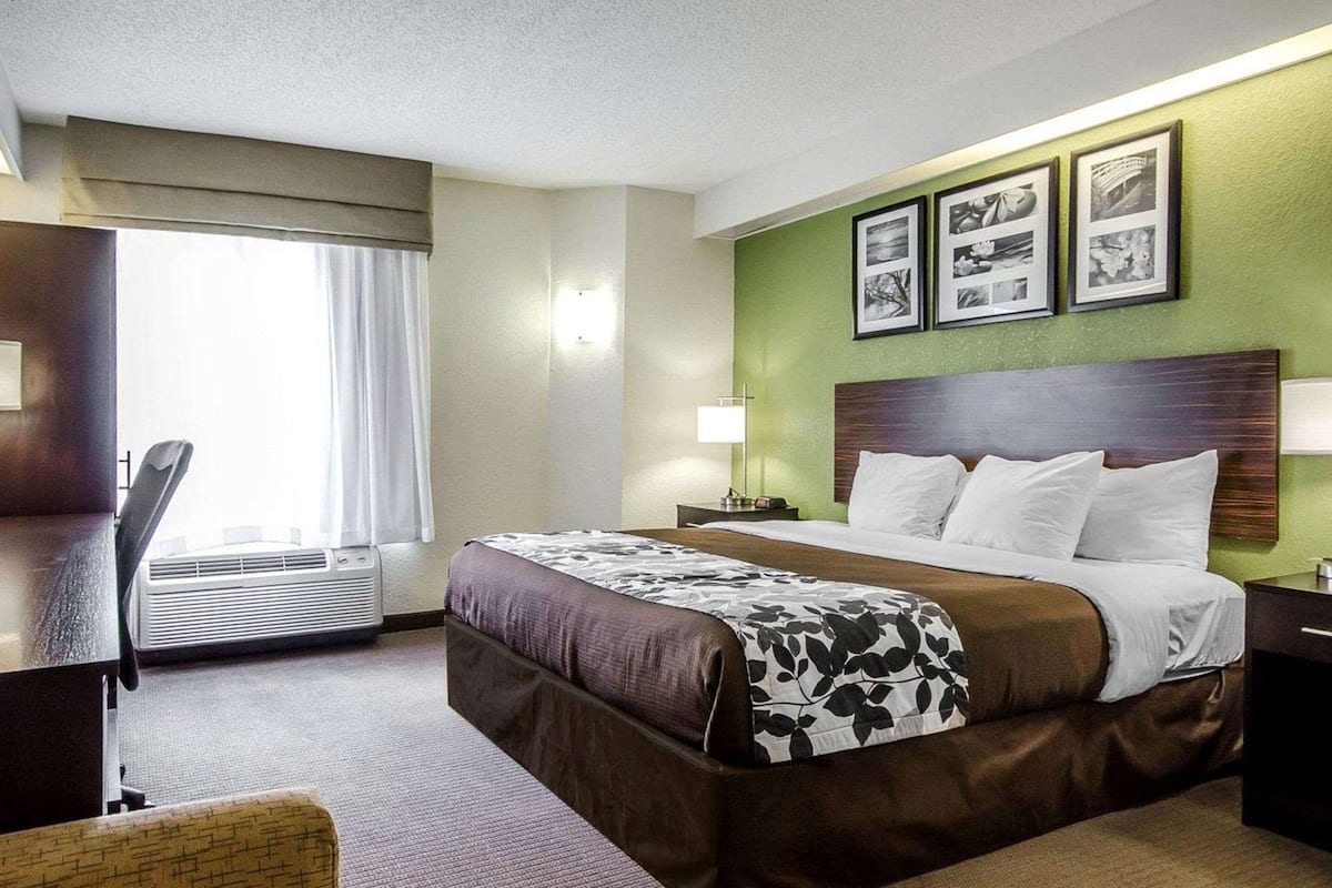 standard room, 1 king bed, non smoking | desk, laptop workspace, iron/ironing board, free wifi