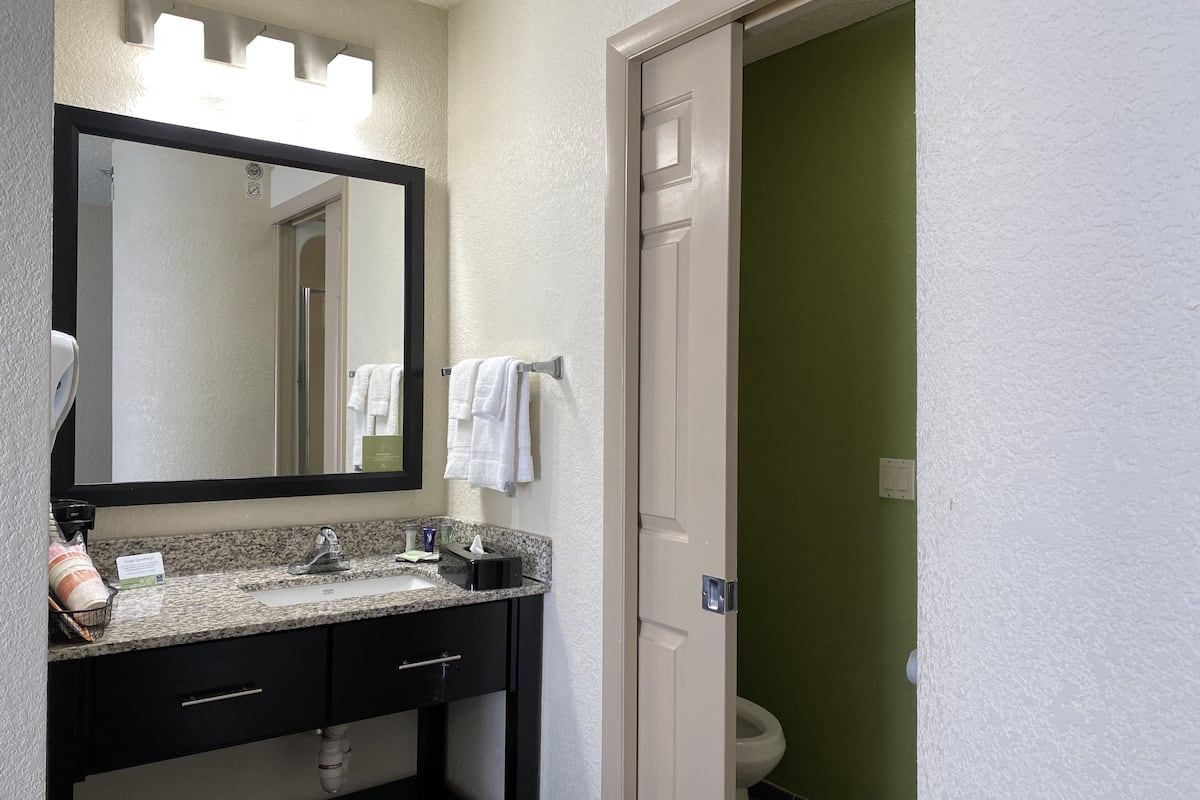 shower, free toiletries, hair dryer, towels