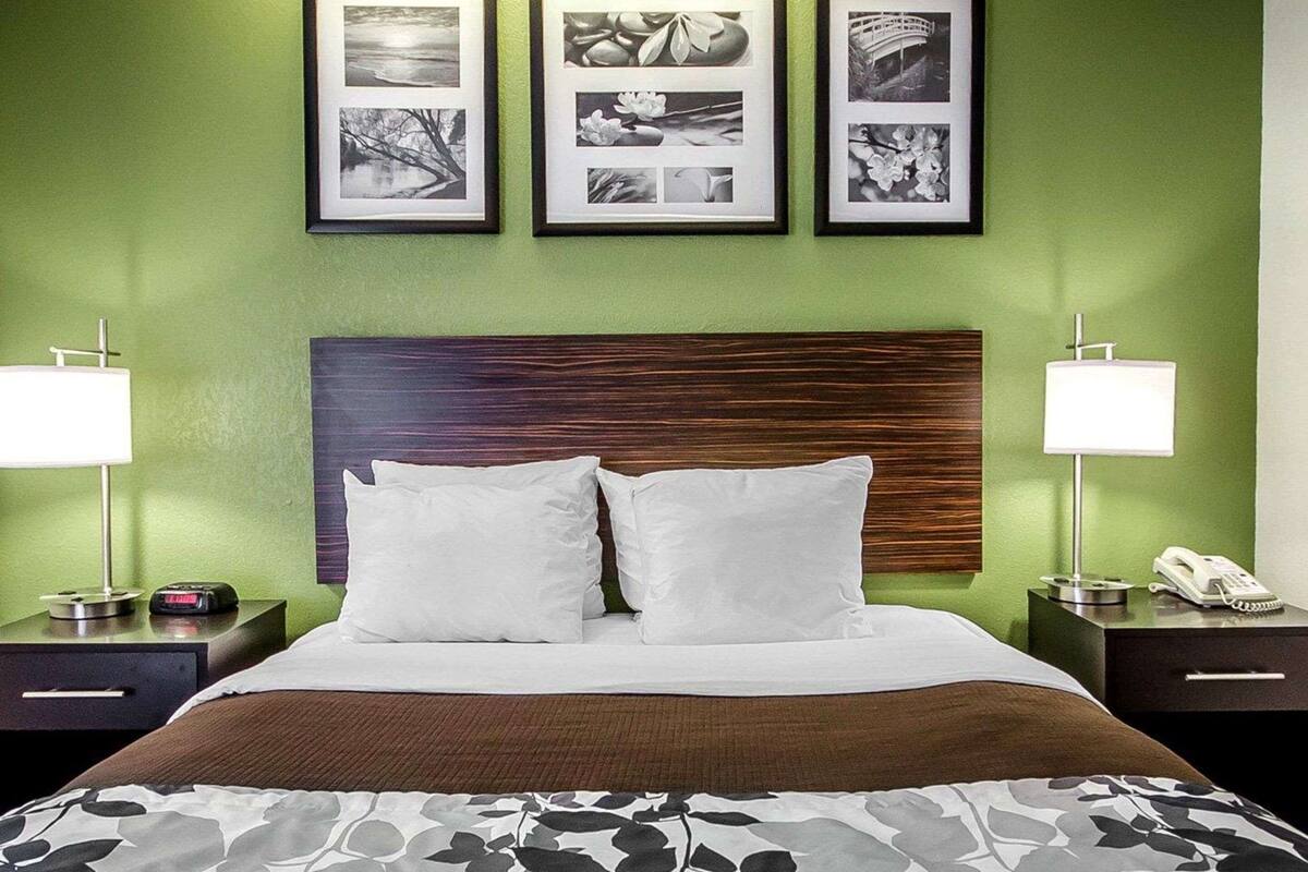 room, 1 queen bed, accessible, non smoking | desk, laptop workspace, iron/ironing board, free wifi