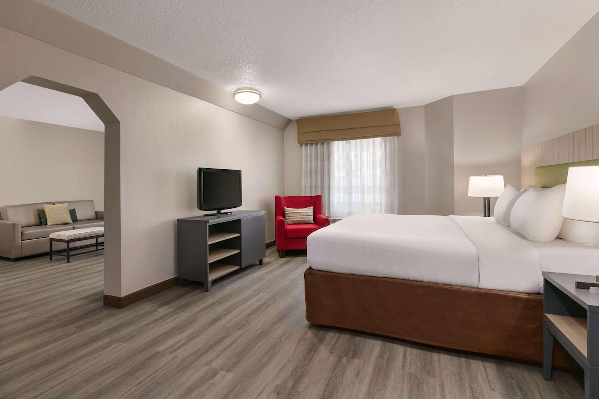 Suite estudio, 1 cama King size, para no fumadores | Escritorio, tabla de planchar con plancha, wifi gratis y ropa de cama 