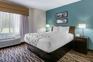 Room, 1 Queen Bed, Non Smoking