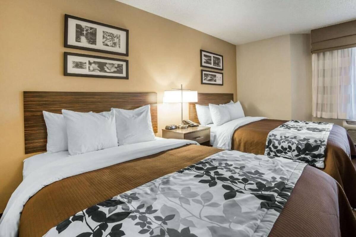 Habitación de hotel con dos camas, una lámpara de noche, cuadros en la pared y una ventana con cortinas.