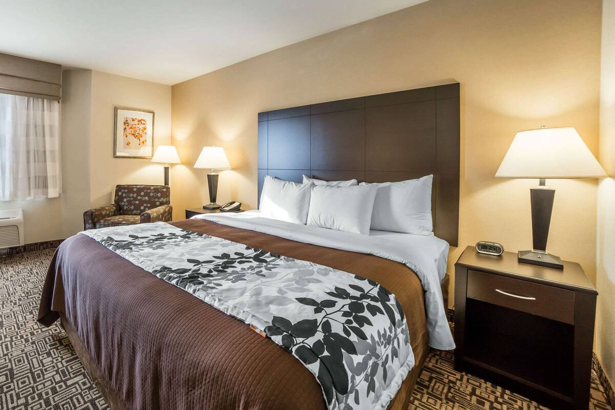 Habitación de hotel con una cama grande, dos mesitas de noche con lámparas, una silla y una alfombra estampada.