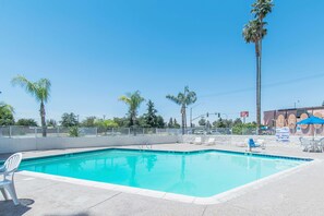 Une piscine rectangulaire à l’eau d’un bleu limpide, entourée d’une terrasse en béton. Des chaises longues et des parasols sont disposés autour de la piscine.