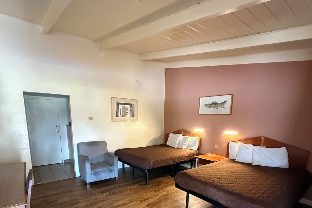 A room with two beds, a chair, a door, and a framed picture on the wall.