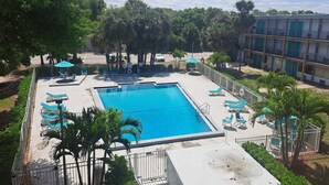 Una piscina rectangular envoltada de gandules i ombrelles, amb una tanca i palmeres.