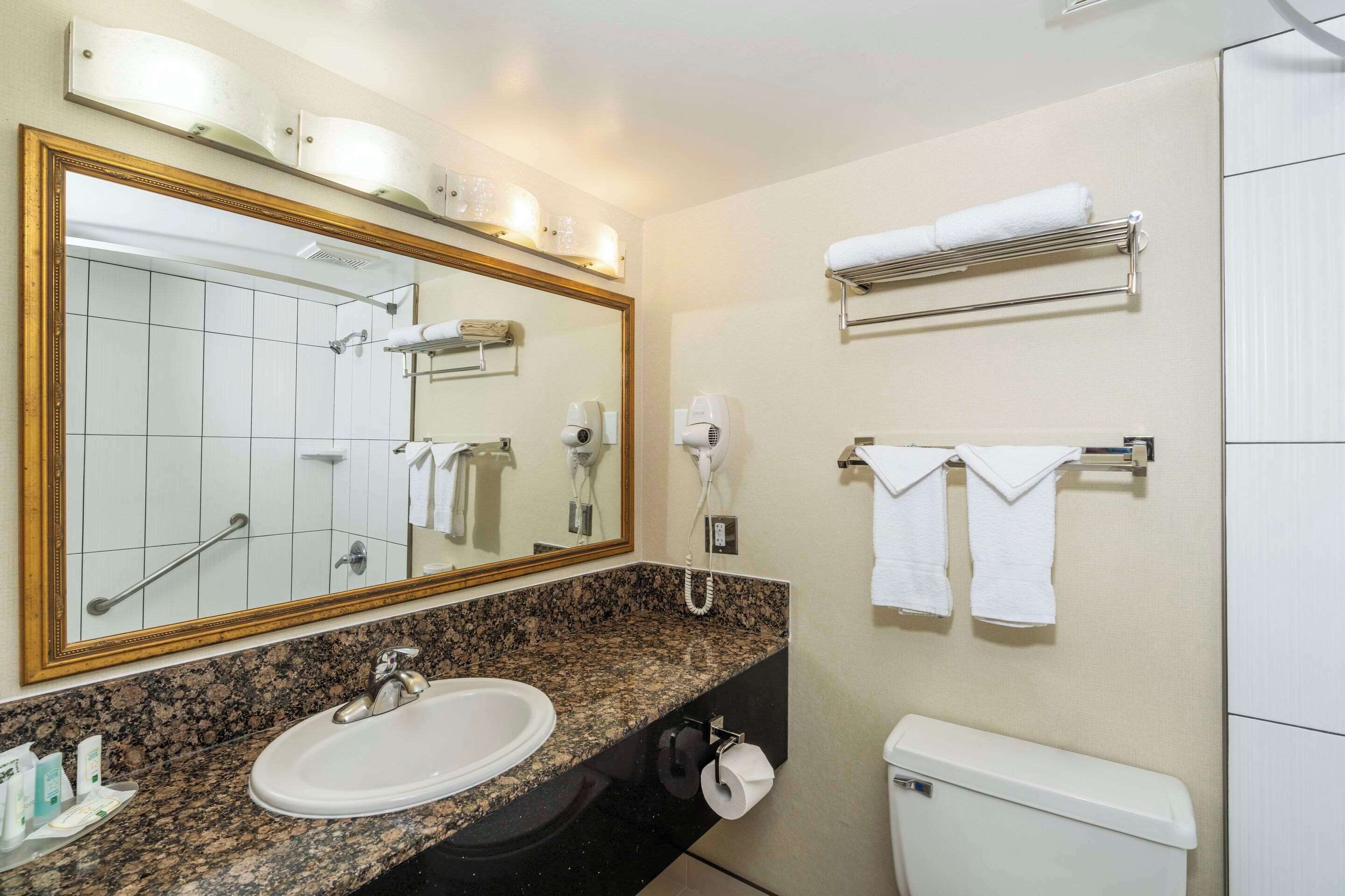 A bathroom with a granite countertop sink, a large mirror, a towel rack, a toilet, and a hairdryer.