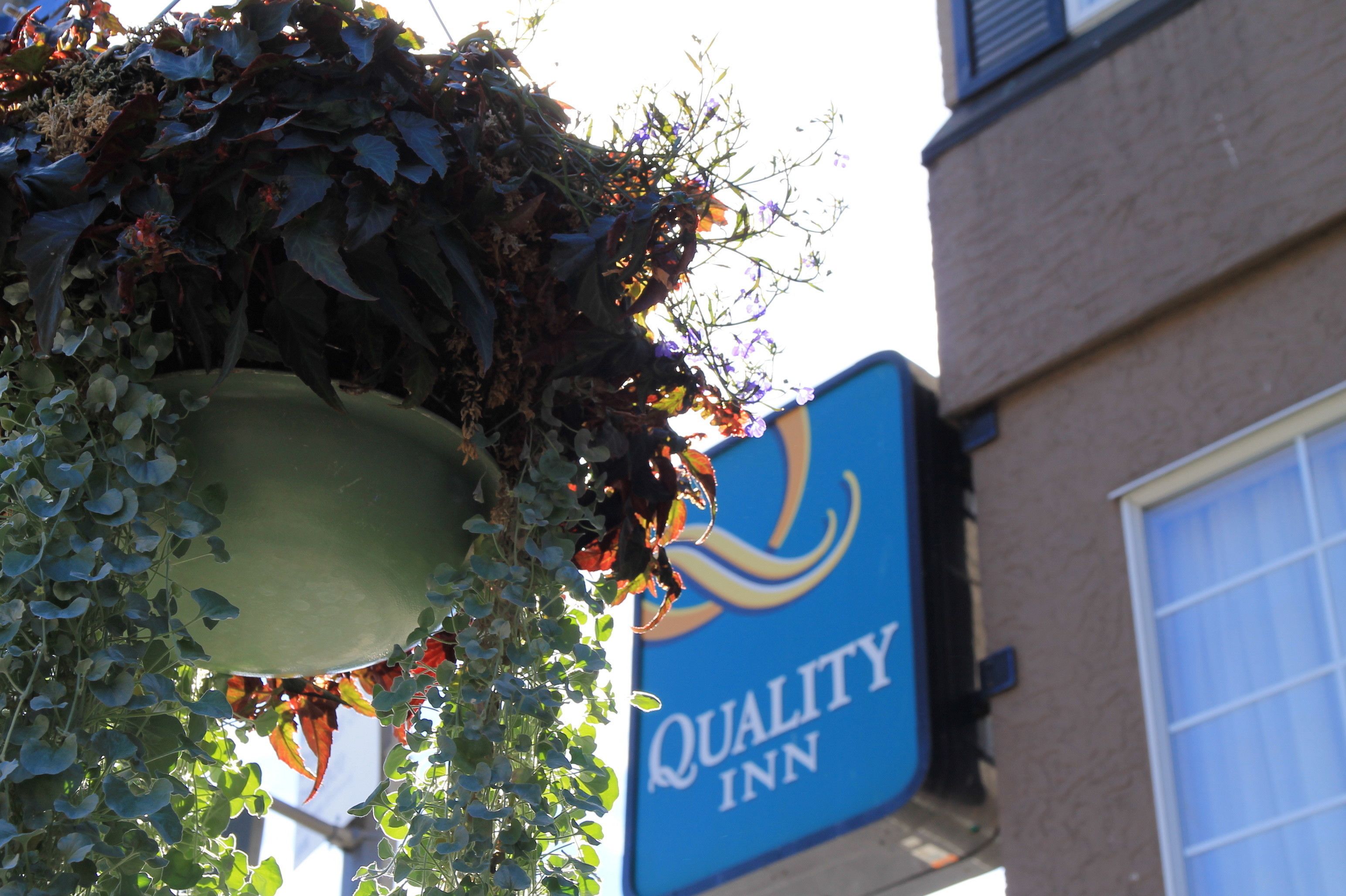 Une enseigne pour un hôtel Quality Inn, avec un pot de fleurs suspendu au-dessus.