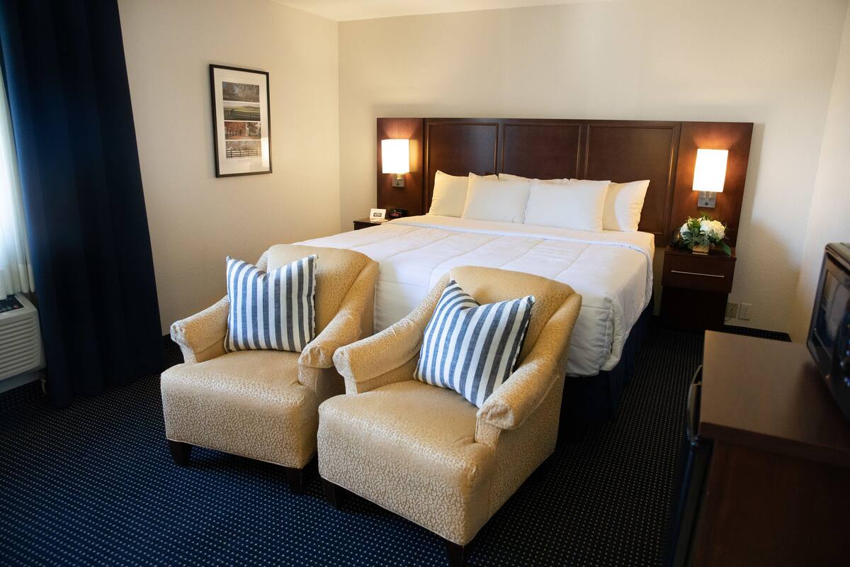 A hotel room with a large bed, two armchairs, a nightstand with a lamp, and a framed picture on the wall.
