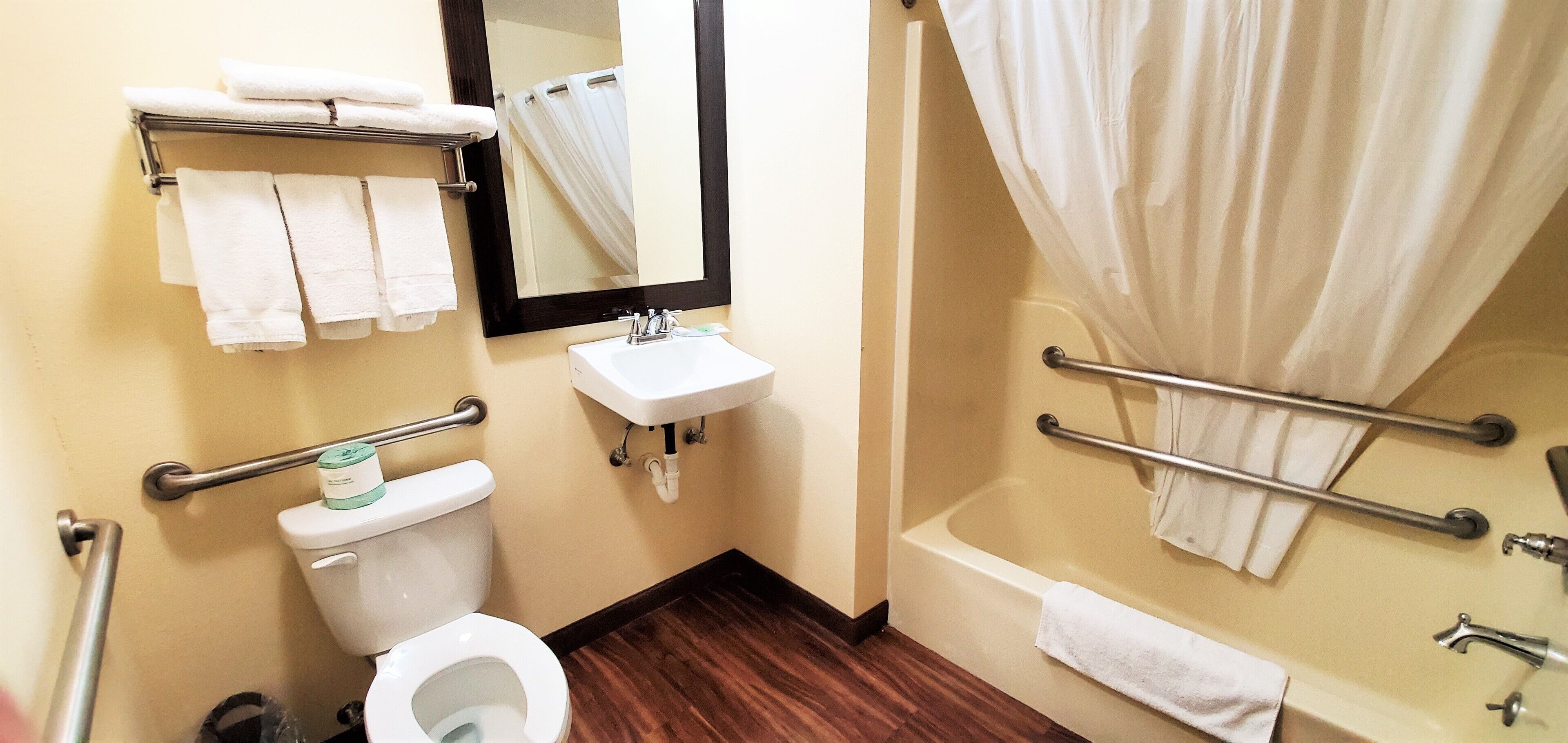 room, 1 king bed, accessible, non smoking | bathroom | combined shower/bathtub, free toiletries, towels
