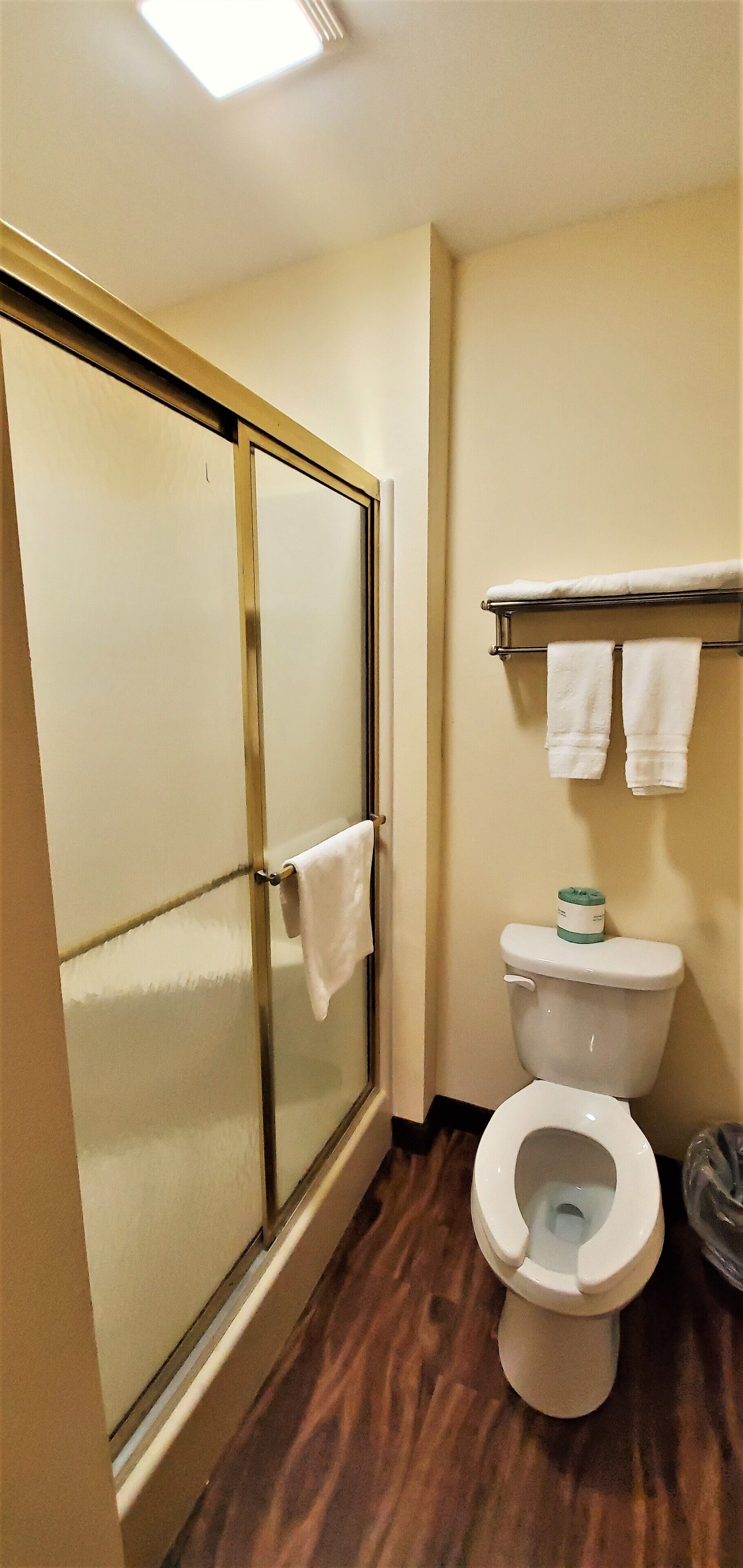 combined shower/bathtub, free toiletries, towels