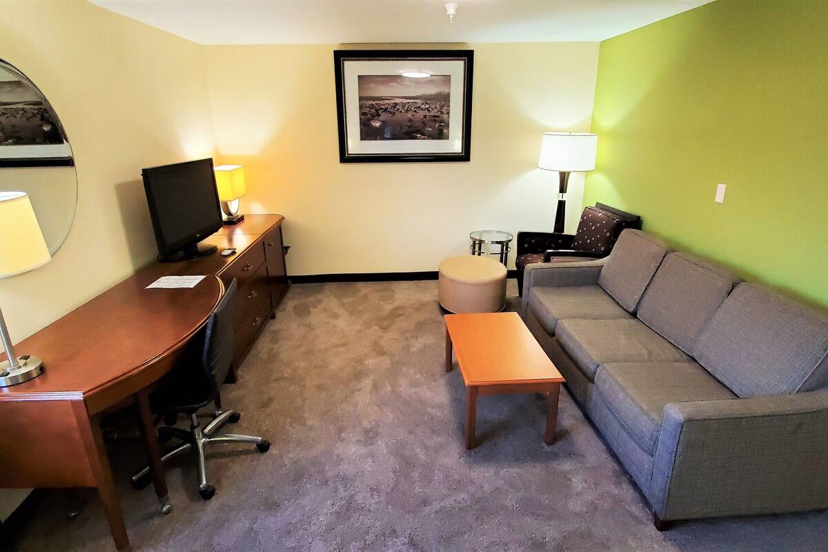 suite, 1 king bed with sofa bed, non smoking | living area | tv